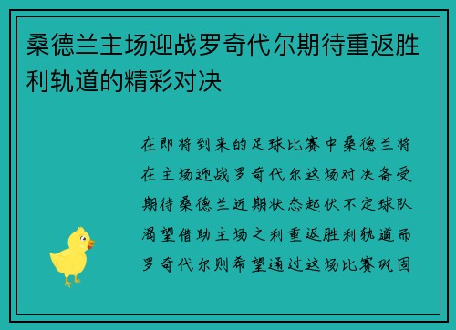 桑德兰主场迎战罗奇代尔期待重返胜利轨道的精彩对决 桑德兰主场迎战罗奇代尔期待重返胜利轨道的精彩对决